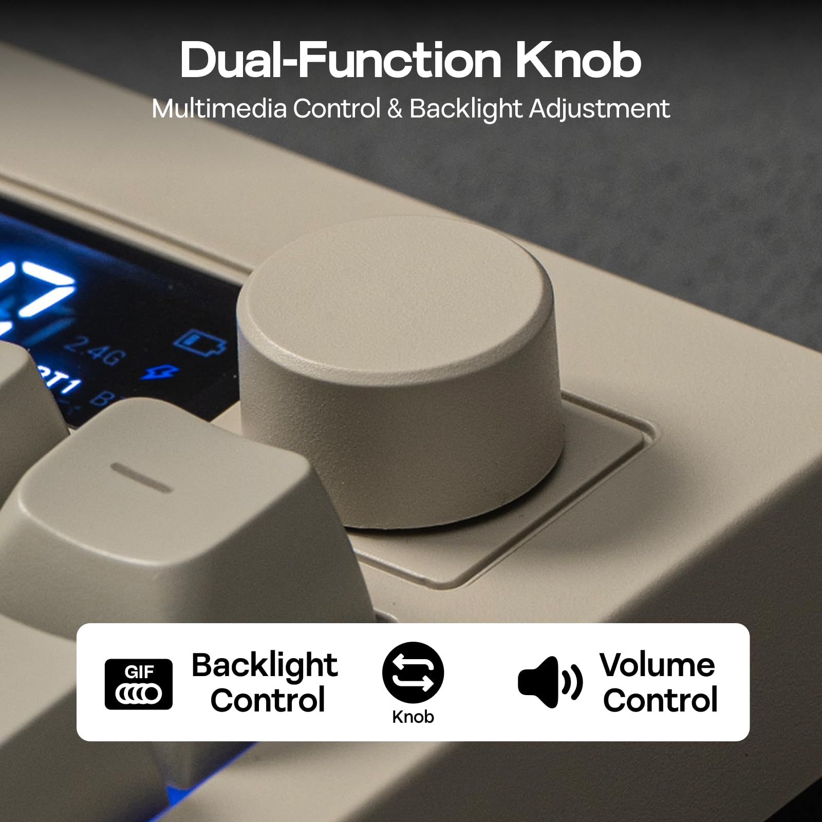 Dual-function knob for multimedia control and backlight adjustment on electronic device.