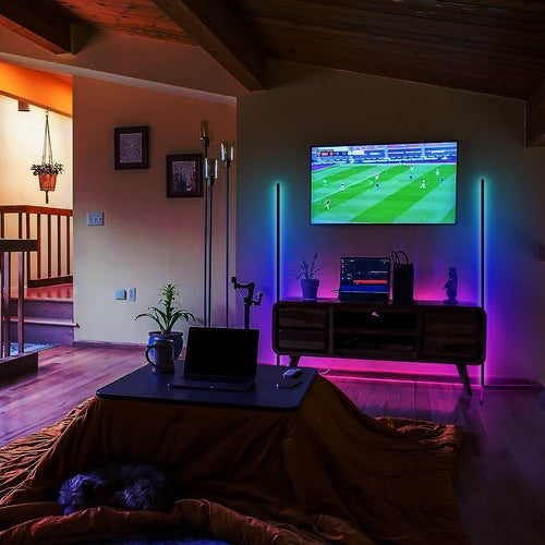 Living room with a TV displaying a sports game, laptop on a table, and plants.